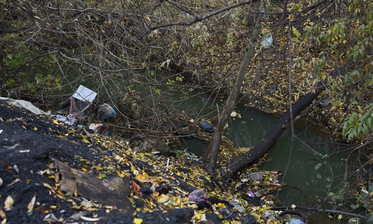 Фото Цыгане превратили новосибирский СНТ «Рассвет» в свалку. ФОТОРЕПОРТАЖ 10